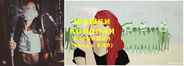 дурь Магас
