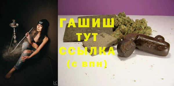 шишки Медвежьегорск