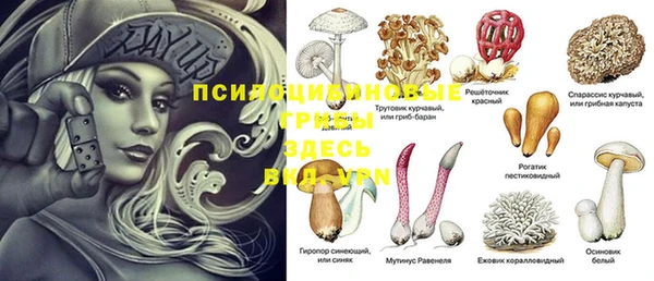 шишки Магадан