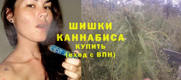 дурь Магас