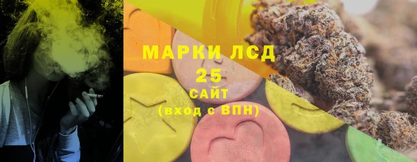 шишки Магадан