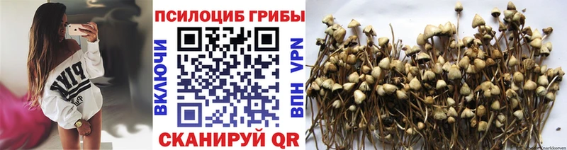 Псилоцибиновые грибы Magic Shrooms  Усть-Джегута 